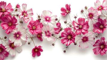 ai generato design di rosa e bianca fiori confine su un' bianca sfondo foto