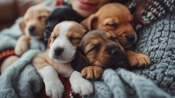 ai generato adorabile cuccioli rannicchiato su con loro umano compagni, formatura infrangibile obbligazioni di amore foto