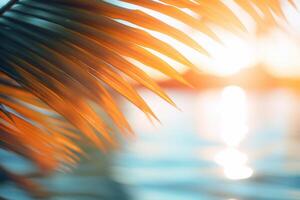 ai generato palma le foglie contro il sole e acqua foto