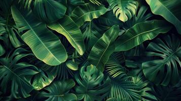 ai generato tropicale Banana foglia struttura con grande palma fogliame la creazione di un' naturale buio verde sfondo foto