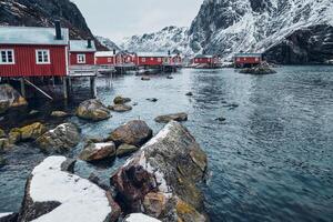 Nusfjord pesca villaggio nel Norvegia foto