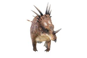 styracosaurus dinosauro su isolato sfondo foto