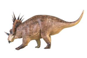 styracosaurus dinosauro su isolato sfondo foto