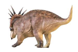 styracosaurus dinosauro su isolato sfondo foto