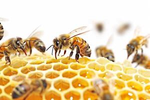 ai generato avvicinamento di api Lavorando su favi su un' bianca sfondo foto