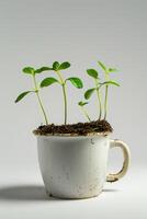ai generato un' verde giovane pianta nel un' fiore pentola, germinazione semi nel un' bicchiere foto