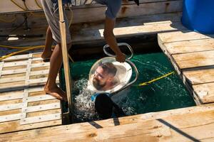 immersione nel un subacqueo casco nel il oceano su il isola di mauritius foto