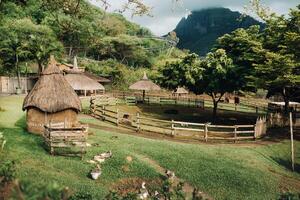 valebat casela parco, casela natura valebat strutture nel mauritius.safari parco di il isola di mauritius foto