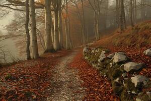 ai generato sentiero nel autunno faggio foresta foto