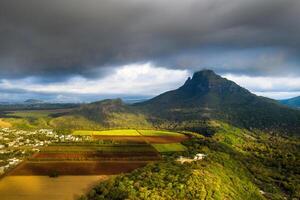 Visualizza a partire dal il altezza di il seminato i campi collocato su il isola di mauritius foto