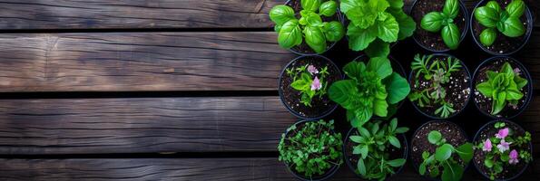 ai generato urbano giardino, in vaso erbe aromatiche su rustico legna foto