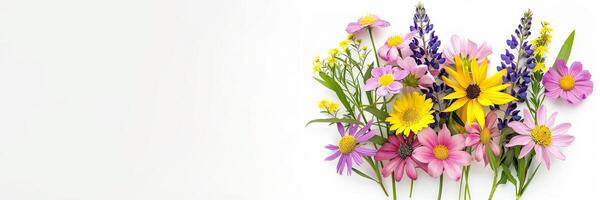 ai generato vivace primavera fiori disposte nel un' panoramico disposizione su bianca sfondo, ideale per Pasqua e madri giorno concetti foto