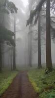 ai generato naturale sfondo verde le foglie nel un' foresta, crescita, primavera e estate foto