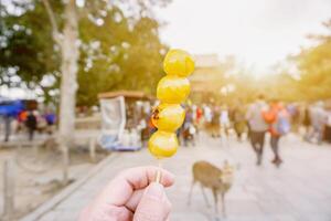 mano Tenere giapponese merenda mitarashi dango a piedi e mangiare su bacca nara parco la zona con turista e sole bagliore sfondo. foto