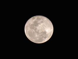 pieno Luna su notte tempo chiaro cielo. foto