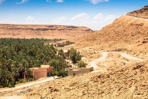 un' villaggio a un oasi a il parte inferiore di un' canyon nel il atlante montagne, Marocco foto