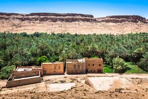 un' villaggio a un oasi a il parte inferiore di un' canyon nel il atlante montagne, Marocco foto