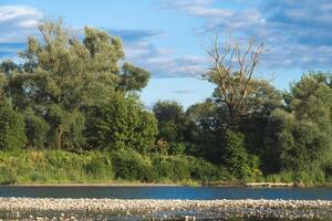 bellissimo paesaggio su il fiume banca con blu cielo e albero foto
