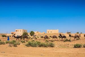 cammello caravan su il sahara deserto ,Merzouga foto