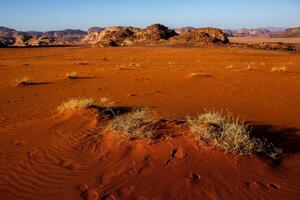 wadi Rum deserto nel Giordania. su il tramonto. panorama di bellissimo sabbia modello su il duna. deserto paesaggio nel Giordania. foto