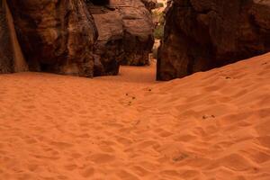 wadi Rum deserto nel Giordania. su il tramonto. panorama di bellissimo sabbia modello su il duna. deserto paesaggio nel Giordania. foto