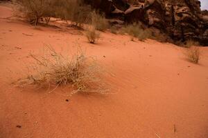 wadi Rum deserto nel Giordania. su il tramonto. panorama di bellissimo sabbia modello su il duna. deserto paesaggio nel Giordania. foto