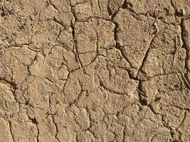 trama di terra secca incrinata foto