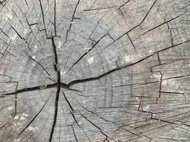 struttura di legno naturale foto