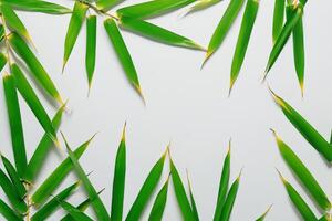 Abbracciare una persona il fascino di bellissimo bambù foglie, dove grazioso verde lame danza nel armonioso sinfonia, la creazione di un' tranquillo oasi di della natura equilibrio e senza tempo bellezza foto