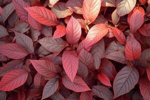 ai generato rosso le foglie a partire dal superiore Visualizza bellissimo natura sfondo scena foto