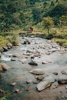 Esplorare sentul bogor spettacolare cascate e foresta sentieri. un' escursioni a piedi avventura con amici nel gunung pancar. sbalorditivo fotografia - meraviglioso Indonesia foto