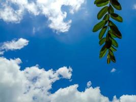 fondo del cielo blu con le nuvole minuscole foto