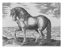 cavallo a partire dal Frisia, Vintage ▾ illustrazione. foto