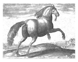 cavallo a partire dal Spagna, Vintage ▾ illustrazione. foto