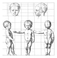proporzione studia di il corpo di un' bambino foto