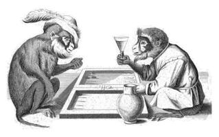 Due scimmie giocare triktrak foto