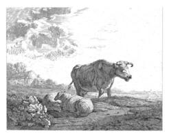 paesaggio con un' mucca e Due pecora foto