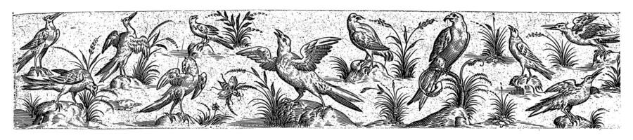 fregio con undici uccelli e un insetto, hans liefrinck ii possibilmente, dopo hans collaert io, 1631 foto