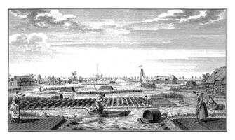 Visualizza di il torbiere vicino Amstelveen, jan caspar Filippo, 1741 - 1742 foto
