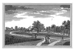 Visualizza di forte Nordwijk, Giacobbe furgone der schley, 1747 - 1779 foto