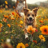 ai generato un' contento cane si precipita per suo proprietario in mezzo fioritura fiori, un' commovente riunione nel natura. foto