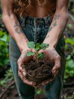 ai generato mani culla fertile suolo, nutrimento un' giovane piantina, incarnando sostenibile vivente e biologico agricoltura. foto