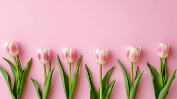 ai generato sei leggero rosa tulipani su un' pastello rosa sfondo con spazio per testo. foto