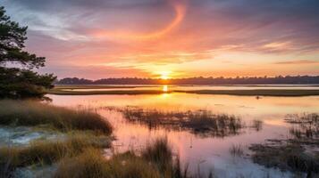 ai generato tranquillo costiero palude con luce del sole e riflessi a alba foto