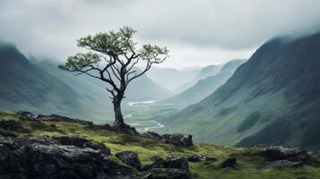 ai generato lunatico tiro di un' solitario albero contro un' scosceso montagna fondale foto