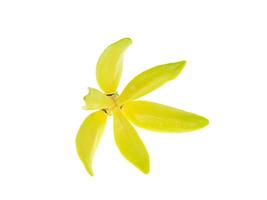 fragrante fiori di arrampicata ylang-ylang foto