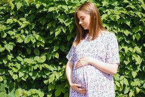 incinta donna riposo nel il parco foto