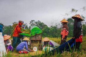 il bellezza di il mattina panorama con Alba nel Indonesia villaggio foto