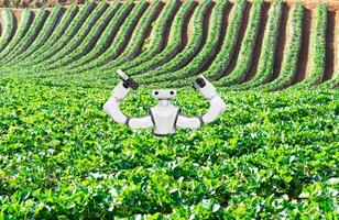 artificiale intelligenza il concetto di utilizzando robot nel agricoltura foto