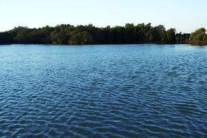 paesaggio di il lago con alberi e blu cielo nel il sfondo foto